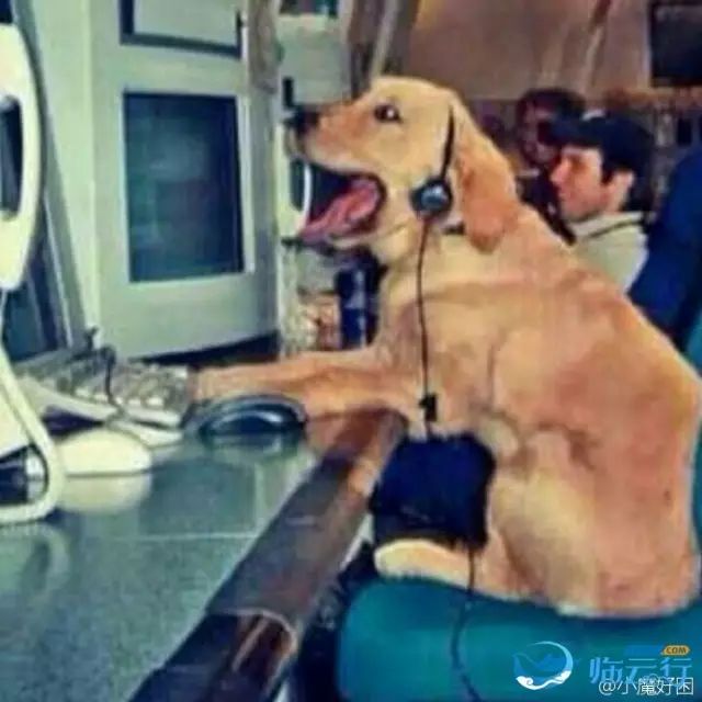篮球赛冠军和奖品一样吗_篮球比赛冠军奖品_篮球赛冠军奖状模板